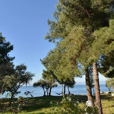 Irene Skala Rachoni (Thasos)